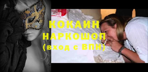 тгк Нея