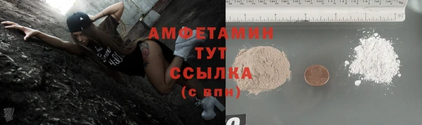 прущие грибы Нефтекумск