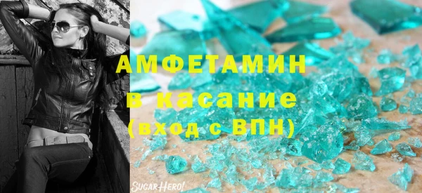 прущие грибы Нефтекумск