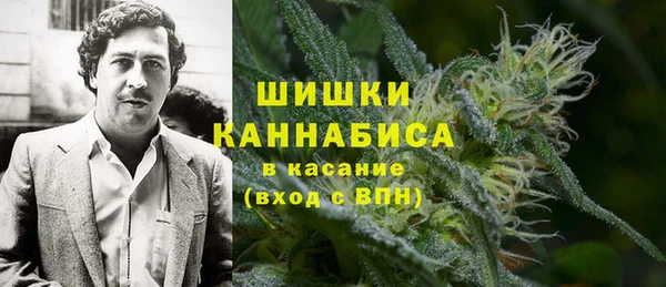 тгк Нея