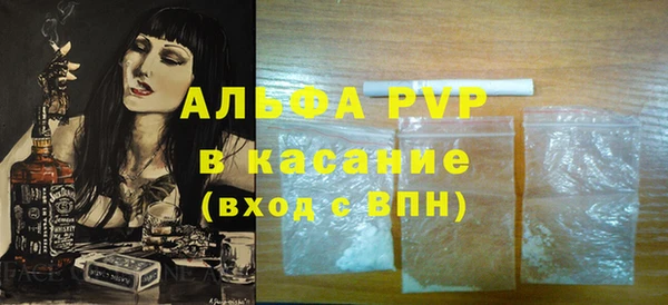 прущие грибы Нефтекумск