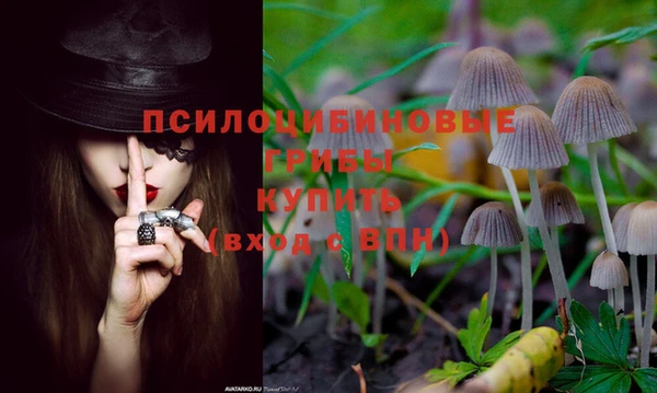тгк Нея